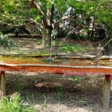 photo 2021-04-27 15-30-14