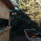 photo 2021-12-31 14-31-21