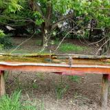 photo 2021-04-29 09-55-46