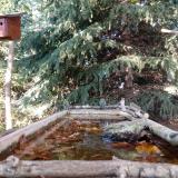 photo 2023-10-16 15-54-41