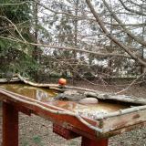 photo 2022-03-09 15-19-23