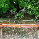 photo 2021-05-25 11-55-21