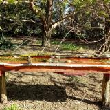 photo 2021-04-12 09-12-49