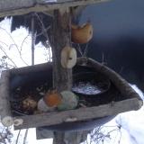 photo 2019-01-28 07-14-47