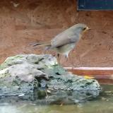 photo 2023-10-28 15-19-46 vorosbegy