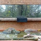 photo 2023-10-28 12-25-05