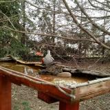 photo 2022-03-17 10-10-17