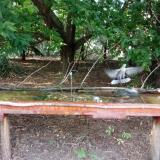 photo 2021-08-03 17-46-57