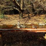 photo 2021-10-27 14-11-06