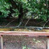 photo 2021-08-04 08-57-31