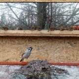 photo 2022-01-20 12-46-16