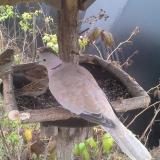 photo 2019-12-12 10-34-09