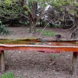 photo 2021-04-16 18-13-38