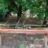 photo 2021-07-13 07-36-55