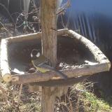 photo 2019-03-06 08-50-42