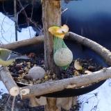 photo 2019-01-15 09-01-19