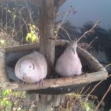 photo 2019-12-23 13-15-39