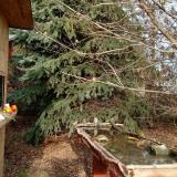 photo 2021-12-15 13-22-27