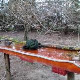 photo 2021-03-21 18-02-30