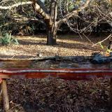 photo 2021-10-25 08-54-35