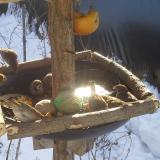 photo 2019-01-27 10-06-38