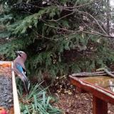 photo 2021-11-13 07-07-08