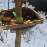 photo 2019-01-26 09-18-04