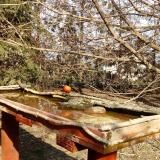 photo 2022-03-08 14-08-18