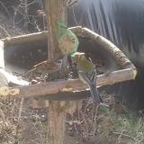 photo 2019-02-13 10-12-17