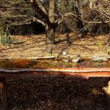 photo 2021-10-27 14-09-37