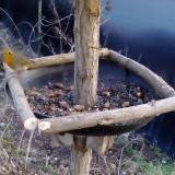 photo 2019-01-03 15-41-02