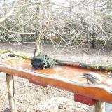 photo 2021-03-16 08-27-58