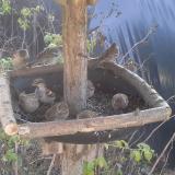 photo 2019-12-16 11-14-35