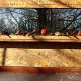 photo 2022-01-15 10-59-23