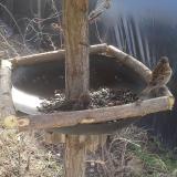 photo 2019-03-04 10-48-21