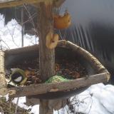 photo 2019-01-31 10-26-35