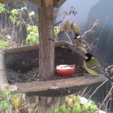 photo 2019-12-06 11-41-59