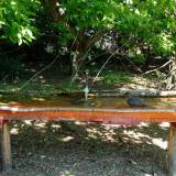 photo 2021-05-08 11-15-02