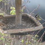 photo 2019-12-18 08-04-41