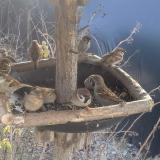 photo 2019-12-31 11-14-37