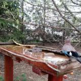 photo 2022-03-31 08-30-07