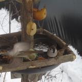 photo 2019-01-27 12-50-15