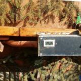 photo 2021-02-27 13-12-53