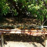 photo 2021-10-02 11-49-47