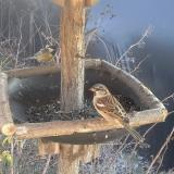 photo 2019-12-31 13-28-29