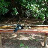 photo 2021-07-14 10-36-12