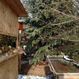 photo 2022-01-09 13-03-50