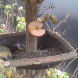 photo 2019-12-05 12-46-34