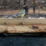 photo 2021-11-10 10-56-02