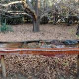 photo 2021-10-26 08-09-58